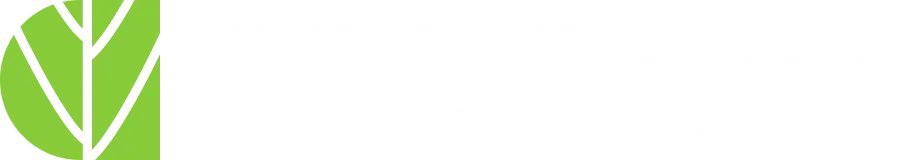 CBD Boxes