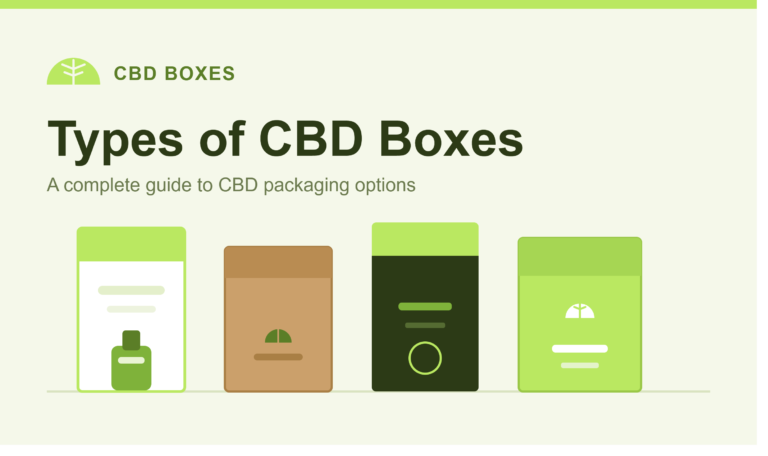 Types of CBD Boxes: A Complete Guide to CBD Packaging Options
